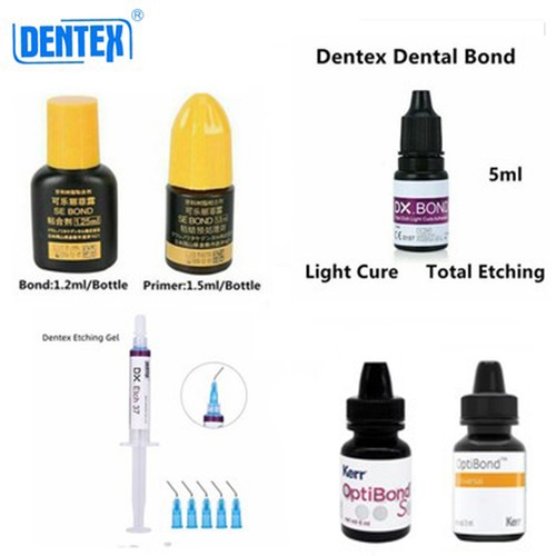 Dental bond teeth glue - dental,